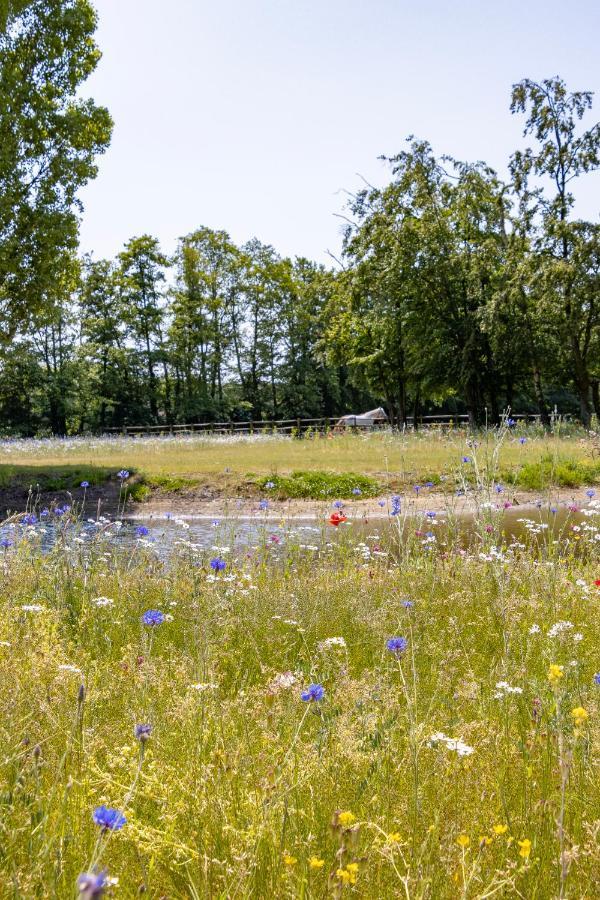 Equilodge 'T Blommeke - Reconnect With Nature Bruges Luaran gambar