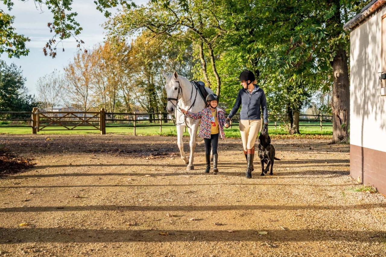Equilodge 'T Blommeke - Reconnect With Nature Bruges Luaran gambar