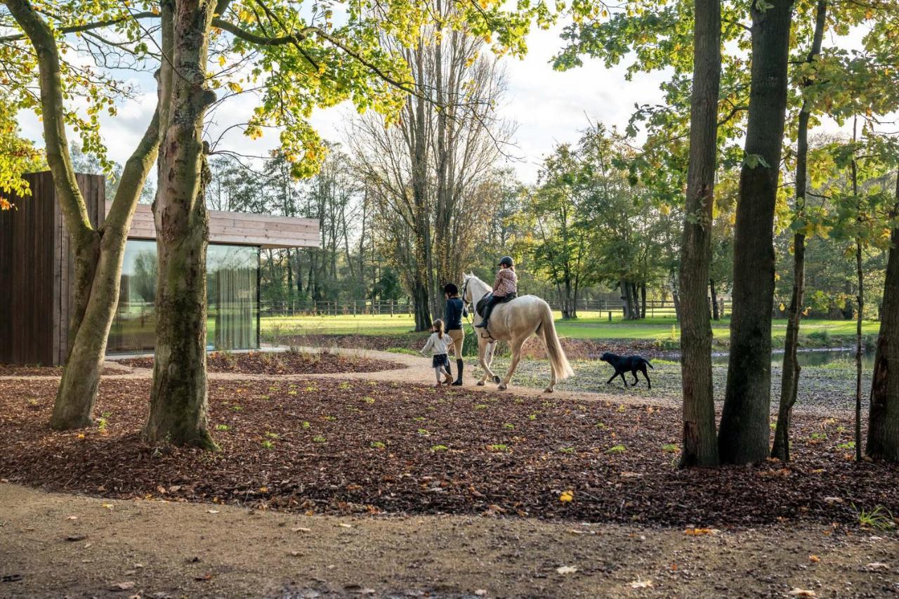 Equilodge 'T Blommeke - Reconnect With Nature Bruges Luaran gambar