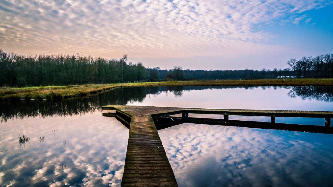 Equilodge 'T Blommeke - Reconnect With Nature Bruges Luaran gambar